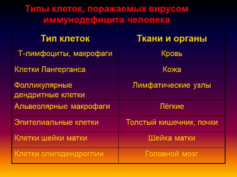 Типы клеток, поражаемых вирусом иммунодефицита человека